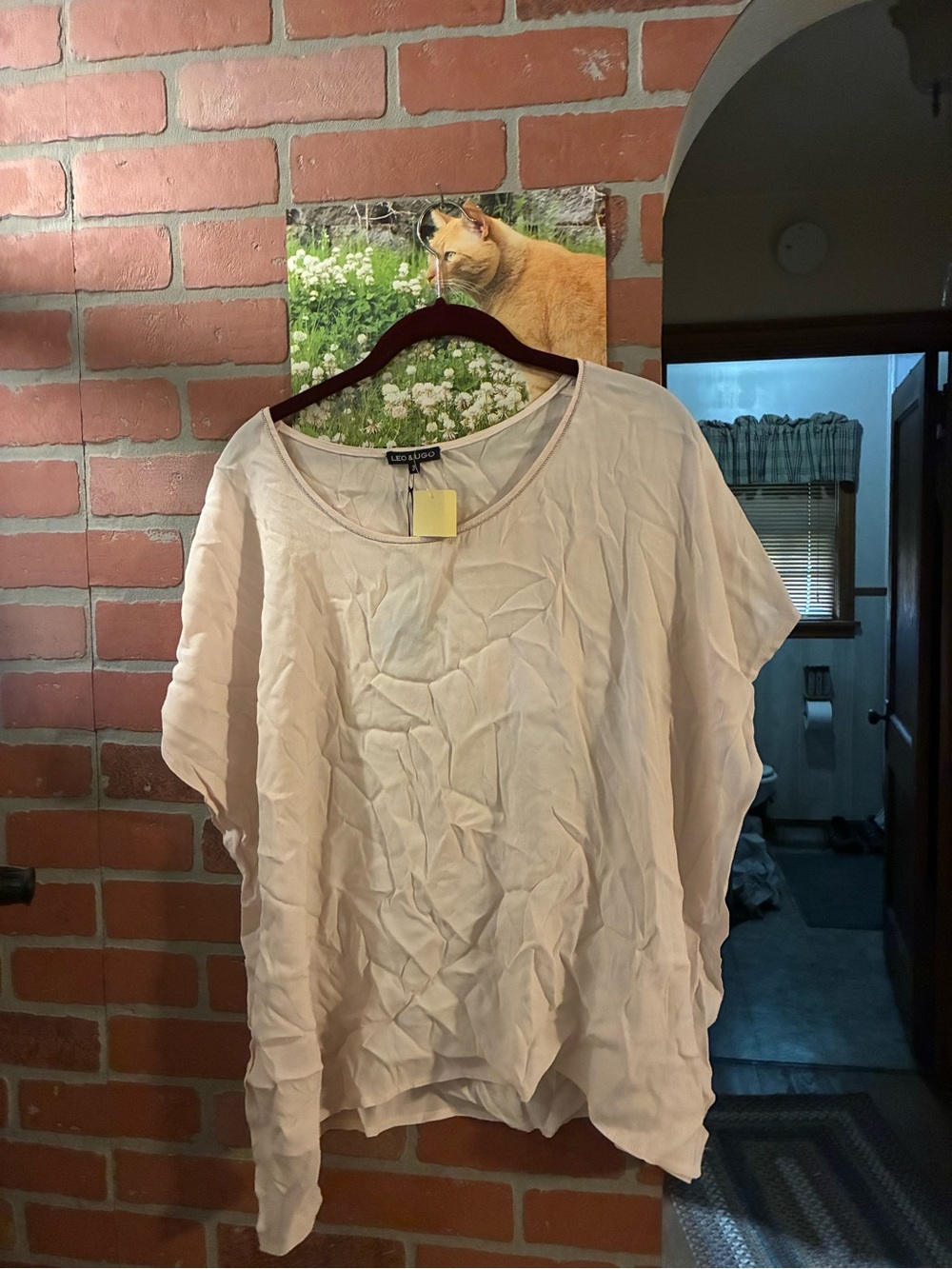 Light Blush Short Sleeve Linen-Blend Tunic Top -